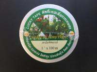 เทปพันกิ่ง LUCKY (Grafting Tape) รุ่นเหนียวพิเศษ ขนาดกว้าง 1 นิ้ว ยาวม้วนละ 100 เมตร (ราคาส่ง)