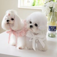 Forever Pet Town  Lace Up Bow Neck Skirt Pet Cat Dog Teddy Fillibeg  Fashion  Puppy Clothes Dog Dress Dresses