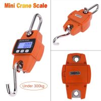 Crane Scale Weight 300kg Heavy Duty Hanging Hook Scales Portable LCD Digital Electronic Hook Hanging Weight Hanging Scale Luggage Scales