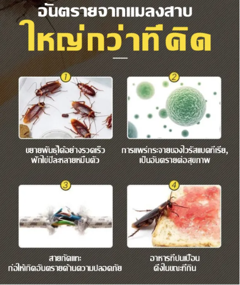 simplelife-เจลกำจัดแมลงสาบ-ไล่แมลงสาบ-เจลกำจัดแมลง-เจลฆ่าแมลงสาบ-ยาฆ่าแมลงสาบ-ยากำจัดแมลงสาบ-เจลกำจัดมด-เจลแมลงสาป-d128