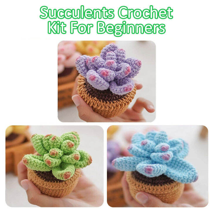 Complete Potted Plants Craft Cute Crochet Potted Kit 3Pcs Crochet ...