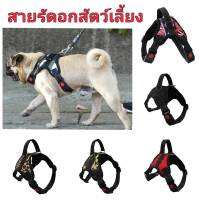 สายรัดอกสุนัข สายรัดอกหมา สายรัดอกสัตว์เลี้ยง สายรัดอก มีSafety lock (ไซส์ XS-XL) V2 ?ส่งฟรี ใช้ร่วมกับคูปอง