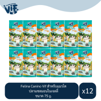 Felina Canino Vif Adult สำหรับแมว รสปลาแซลมอนในเจลลี่ ขนาด 75g.(x12 ซอง)