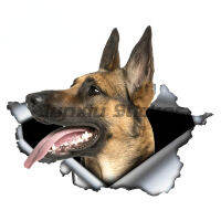 [COD] เบลเยียม Malinois สติกเกอร์รถฉีกขาดโลหะรูปลอกสติ๊กเกอร์สะท้อนแสงกันน้ำเบลเยียมต้อนสัตว์เลี้ยงสุนัข3D D Ecals