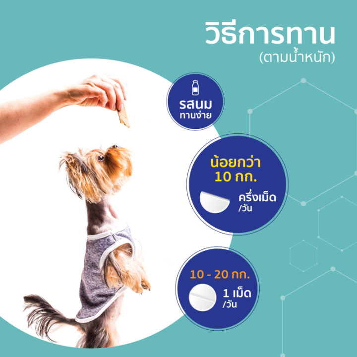 petitrend-ผลิตภัณฑ์บำรุงขนและผิวหนัง-สำหรับสุนัขและแมว-เพ็ทติเทรน-ลดขนร่วง-บรรจุ-30-เม็ด