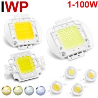 Warm Natural Cold White High Power Led Chip Light Beads 1W 3W 5W 10W 20W 30W 50W 100W 1 3 Watt Smd Cob Bright Floodlight Bulb