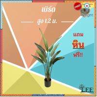 ต้นเบิร์ด ออฟ พาราไดส์ (ฺBird of Paradise) สูง 1.2 เมตร พร้อมกระถาง #ต้นไม้ปลอมตกแต่งบ้าน Leeartplants (๙) สินค้ามีจำนวนจำกัด