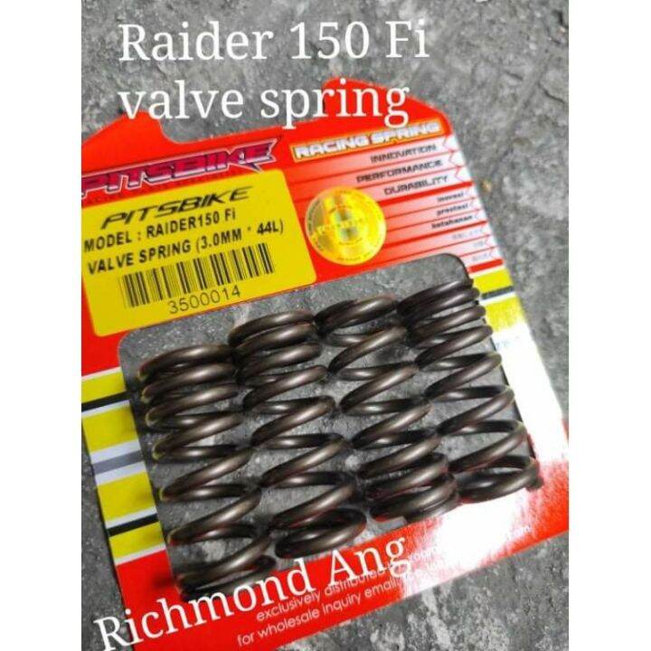 Pitsbike racing valve spring raider 150 fi r150 fuel injected | Lazada PH