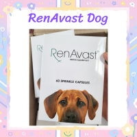 RenAvast for dog 1000 mg. อาหารเสริมบำรุงไต อาหารเสริมโปรตีน สำหรับสุนัข 1 กล่องบรรจุ 60 เม็ด