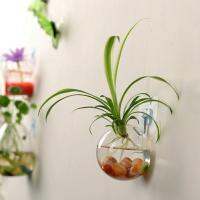 ติดผนังใหม่ถังชามแขวนTerrarium Hydroponicแจกันห้องนั่งเล่นตกแต่งผนัง A2T0