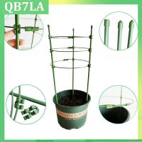 Garden Plant Bracket Holder Climbing Vine Rack Potted Support Frame Plastic Coated Steel Vegetables Decorative Trellis QB7LA Shop