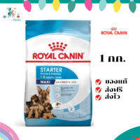 ✨ จัดส่งฟรี Royal Canin Maxi Starter Mother &amp; Baby Dog 1kg อาหารเม็ดแม่สุนัข และ ลูกสุนัขหย่านม พันธุ์ใหญ่ อายุ 1-2 เดือน เก็บเงินปลายทาง ✨