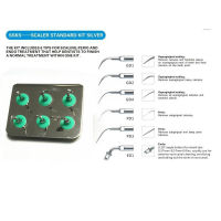 6ชิ้นทันตกรรมอัลตราโซนิก Scaler Scaling Perio Endo เคล็ดลับชุดสำหรับ SAEC NSK DTE