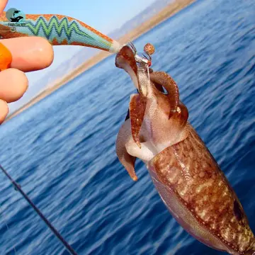 Shop Fishing Lure Shrimp For Squid Yamashita with great discounts