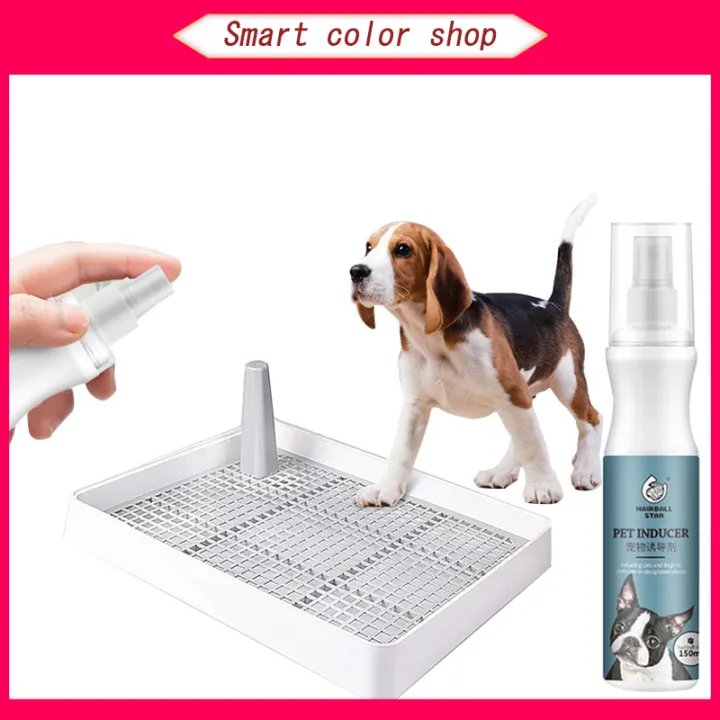 Dog potty training spray, dog spray, toilet training, puppy positioning ...