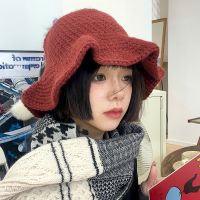 【CW】 Wood Ear Korean Version and Crochet Warm Wool Hat Female Hats Male