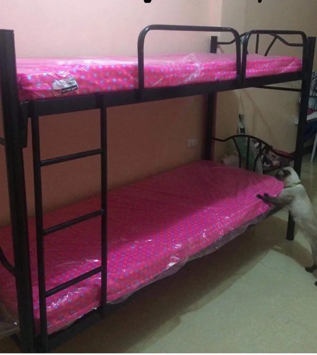 Double Deck Bed Frame with Mandaue Foam Lazada PH