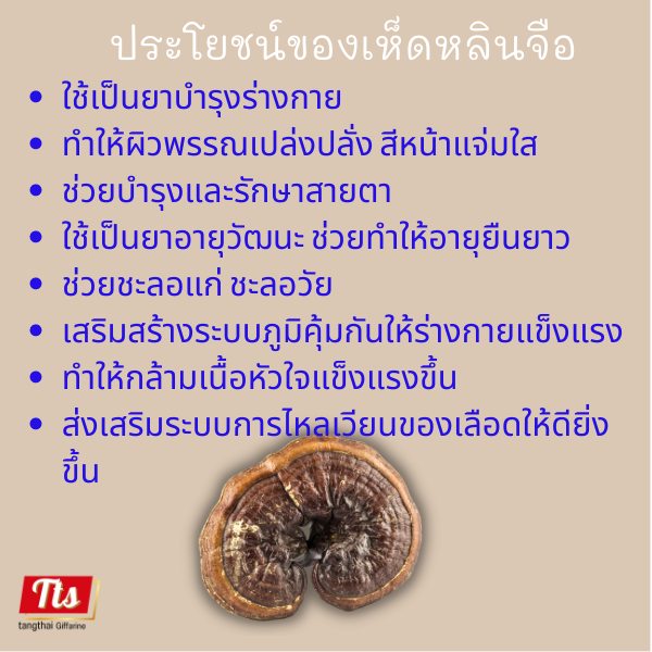 กิฟฟารีน-กาแฟเห็ดหลินจือ-2-กล่อง-กาแฟเพื่อสุขภาพ-กาแฟปรุงสำเร็จ-เห็ดหลินจือสกัด-giffarine-ส่งฟรี-ของแท้-กาแฟ-เห็ดหลินจือ-กาแฟสมุนไพร