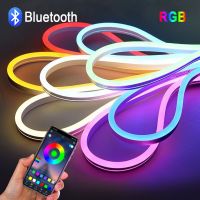 【CW】 12V RGB LED Strip light With Bluetooth APP Remote Control 1or2 Pcs 1/2/3/4/5M neon lamp tape For Cabinet Wardrobe Decor lighting