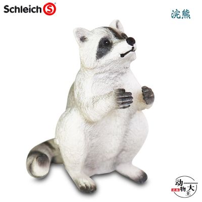 German Schleich Siles new simulation wild animal model raccoon toy baby cognitive enlightenment ornament