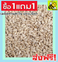 ส่งฟรี ? ซื้อ 1 ฟรี 1 เมล็ดทานตะวันแกะเปลือก Sunflower Seeds Roasted Unsalted (ขนาด 100กรัม ฟรี 100กรัม) เม็ดทานตะวัน ทานตะวันอบ ขนมกินเล่นถูกๆ ขนมกินเล่น อาหารพร้อมทาน ขนมที่ดังใน tiktok ขนมถูกๆส่งฟรี ธัญพืชรวม ธัญพืชอบแห้ง ราคาถูก ขนม ลูกพรุน ผลไม้รวมอ