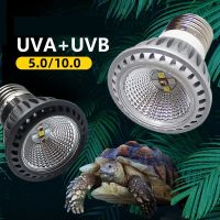 5.010.0 UVA UVB Full Spectrum Sun โคมไฟสัตว์เลื้อยคลานเต่า Basking Light Amphibians จิ้งจก Sunbathe ตกแต่งโคมไฟอุปกรณ์เสริม