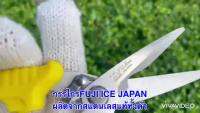 ( โปรสุดคุ้ม... )  FUJI ICE JAPAN กรรไกรตัดกิ่งไม้ปากตรงFU-0018 ตัดขั้วผลไม้ ตัดแต่งดอกไม้ แท้100% รุ่นสแตนเลสทั้งตัว ✳️ ราคาถูกสุด อุปกรณ์ ตกแต่ง สวน อุปกรณ์ ตกแต่ง สวน ถาด อุปกรณ์ ตกแต่ง ต้นไม้ อุปกรณ์ ตกแต่ง สวน หย่อม