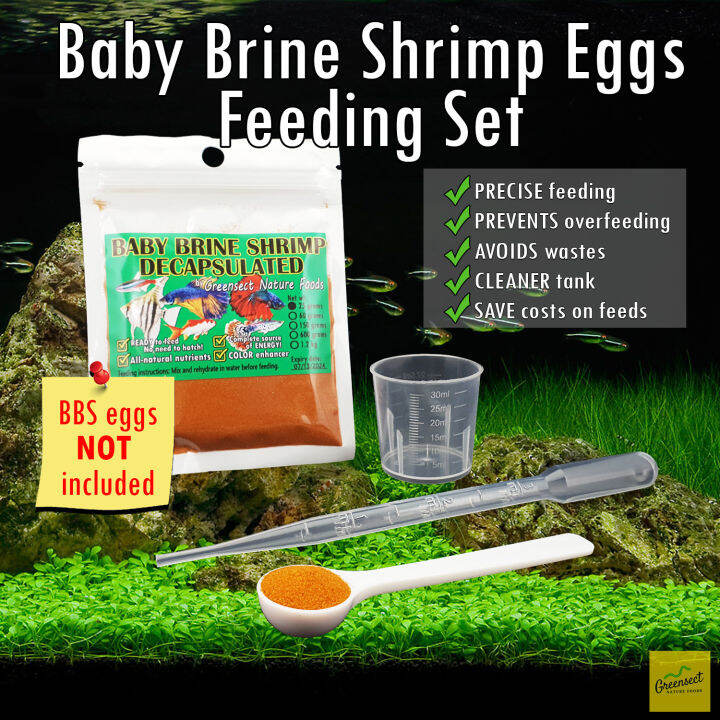 BABY BRINE SHRIMP EGGS Feeding Set BBS Artemia Cysts for fish food