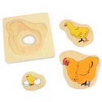 Toddlers Montessori Materials Wooden Toys Science Toys Life Cycle of Hen Egg Hatching Grow Up Puzzles Jingsaw Preschool Infant