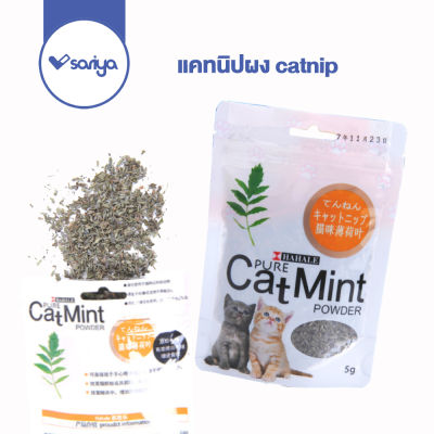 แคทนิปผง catnip (TC105) แคทนิปแมว cat mint