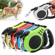 Dây Xích Chó Bền 3M 5M Vòng Cổ Chó Bằng Nylon Có Thể Thu Vào Tự Động Phụ
