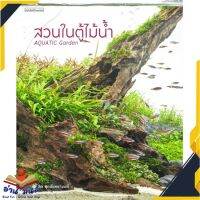 หนังสือ  สวนในตู้ไม้น้ำ Aquatic Garden หนังสือใหม่ มือหนึ่ง สินค้าพร้อมส่ง #อ่านมันส์