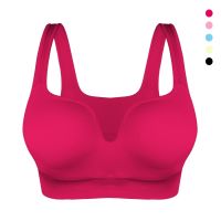 【hot】 Sport Bras Shirt Padded Crop Workout Top Push Up Brassiere