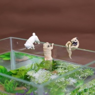 Tượng nhựa Chú Chó đùa giỡn trên bể cá - Trang trí bể cá thumbnail