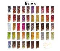 Berina Hair Color เบอรีน่า สีย้อมผม สีผมเบอริน่า เปล่งประกาย ติดทนนาน ปิดผมขาว ครีมย้อมผม ย้อมผมเบอริน่า เบอริน่า