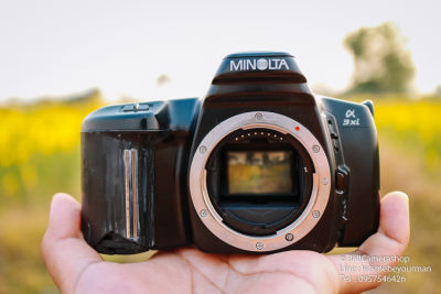 ขายกล้องฟิล์ม Minolta a3xi serial 13214177 Body Only