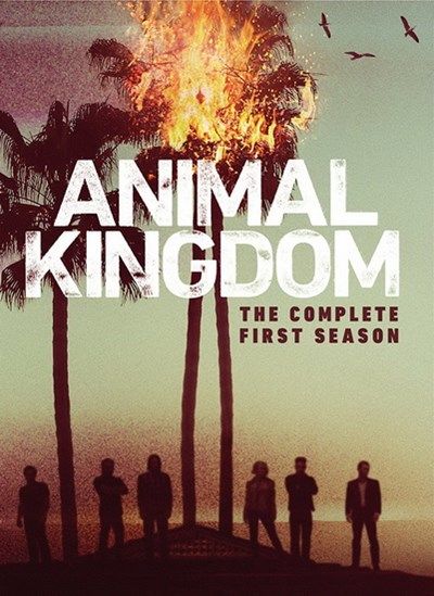 DVD Tv Series Animal Kingdom ( Season 1 ) ( 3 disc ) A 3D 56 Crime, Drama |  Lazada