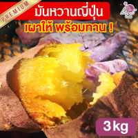 มันหวานญี่ปุ่น เบนิฮารุกะ เผาให้พร้อมทาน 3kg มันญี่ปุ่นหวาน มันหวานญี่ปุ่น มันหวาน มันหวานญี่ปุ่นเบนิฮารุกะ มันหวานญี่ปุ่น