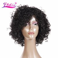 Lydia Afro Curly Synthetic Wigs Short Kanekalon Heat Resistant Wig For African American Women Natural Black &amp; Mix Color