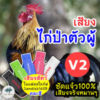 เสียงไก่ป่าตัวผู้ V.2 เสียงตีปีกสลับขัน เมม/แฟลชไดร์ฟเสียงไก่ป่าตัวผู้ V.2 ชัดแจ๋ว 100% ไม่มีโฆษณาแทรก มีเก็บเงินปลายทาง (MP3เสียงต่อสัตว์)