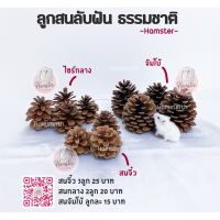 ✳ลูกสน สน ลับฟันสัตว์เลี้ยง ที่ลับฟัน สำหรับแฮมสเตอร์⚠️ขั้นต่ำ50บาทสั่งรวมกับอย่างอื่นได้⚠️♢