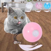 [Big Spade] Electric Cat Toy Laser Tease Cat Ball Cat Self Hi Tease Cat Stick Feather USB Charging Tease Cat Toy Educational Interactive Toy