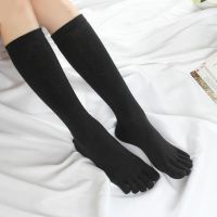 【Sock shop】ผู้หญิงฤดูใบไม้ร่วงห้านิ้วถุงเท้าหลอดยาวสีทึบง่ายนุ่มสบายๆระบายอากาศนิ้วเท้าแยกร้านขายชุดชั้นผ้าฝ้าย