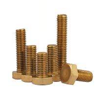 Hex Brass Screws Hexagon Socket Bolts M4 M5 M6 M8 M10 M12 Length 6 60mm DIN933