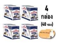 (ฟรีของแถม) Royal Canin Maxi Adult 10x140gx4box  โรยัล คานิน อาหารเปียกสำหรับสุนัขโตพันธุ์ใหญ่ ขนาด 10x140 กรัมx4 กล่อง