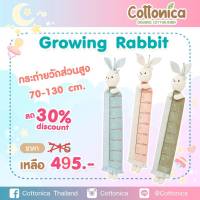 Rabbit Tall พี่กระต่ายวัดส่วนสูงลูกน้อย ที่วัดความสูงติดผนัง วัดส่วนสูงเด็ก(20066-68)