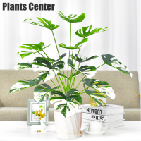 Plants Center พร้อมส่ง? ต้นไม้ปลอม Monstera  มอนสเตอร่าด่าง ตกแต่งบ้าน แต่งสวน ส่งที่ไทยค่ะ  ต้นไทรใบสักเสม 12ใบ สูง65cm/18ใบ สูง85cm