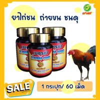 สตองโกลด์ อาหารเสริมขนไก่ ไก่ชน ถ่ายขน