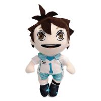 【YF】 Anime 7.9inch Kawaii Oikawa Tooru Plush Haikyuu Toys Hinata Shoyo Kageyama Kozume Kenma Cute Soft Stuffed Dolls