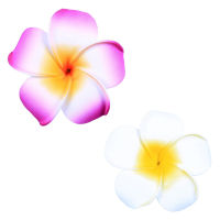 6Pcs Women Plumeria Flower Hair Clip Accessories Barrette Hawaiian Wedding Party